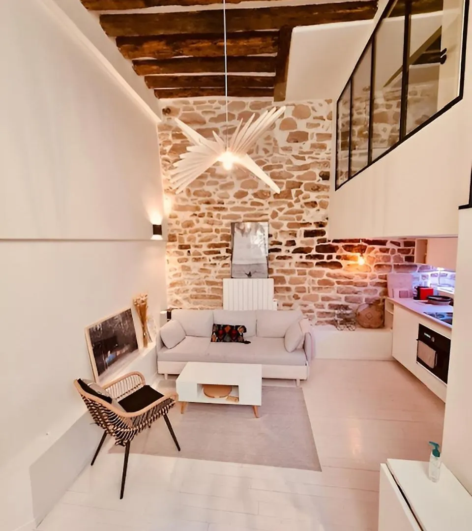 Διαμέρισμα Plein Coeur De : Duplex A Bastille *