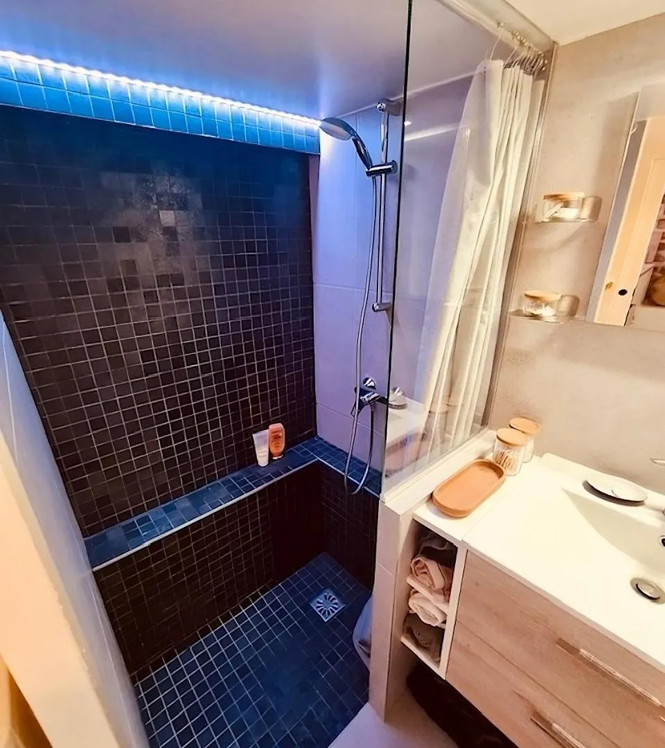 Plein Coeur De : Duplex A Bastille Apartment