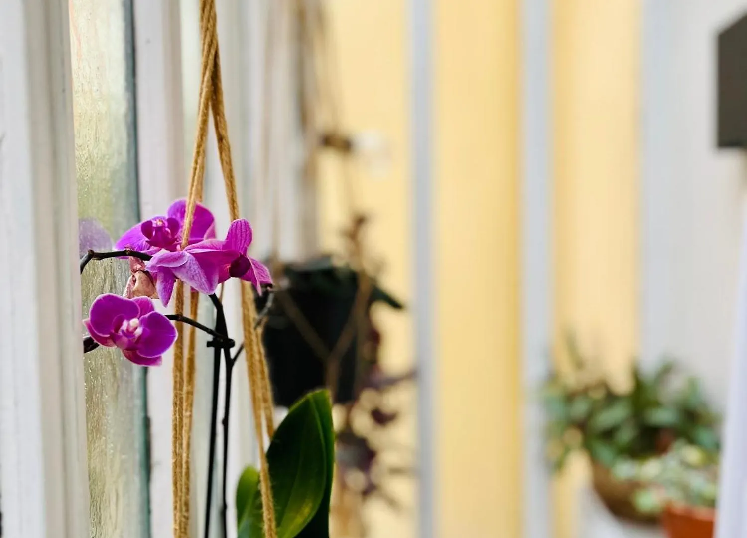 Apartman Plein Coeur De : Duplex A Bastille Párizs